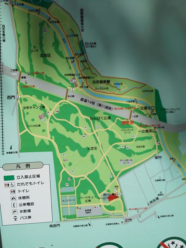 都立野川公園の案内図