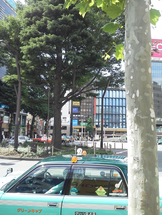 恵比寿駅駅