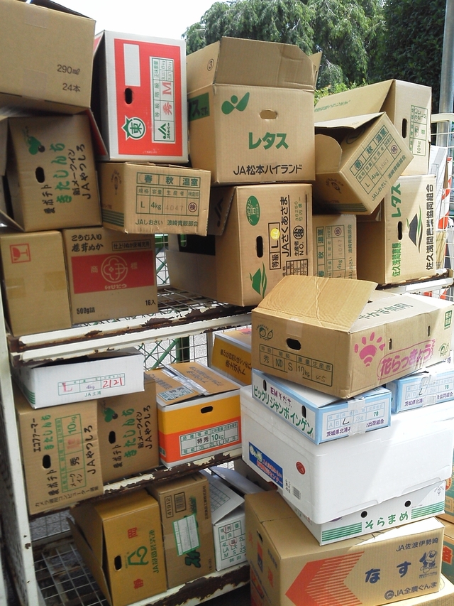ダンボール