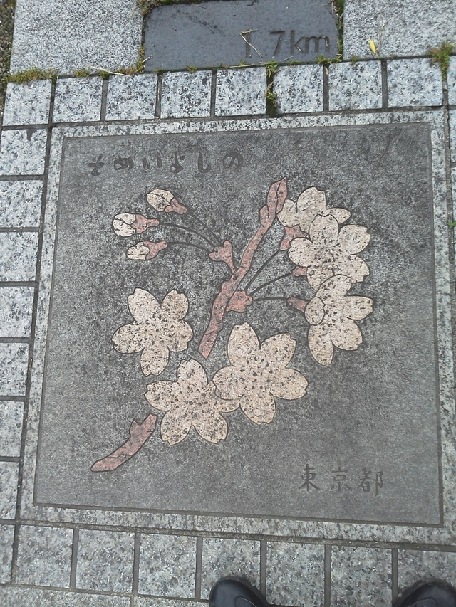 花の環 東京都