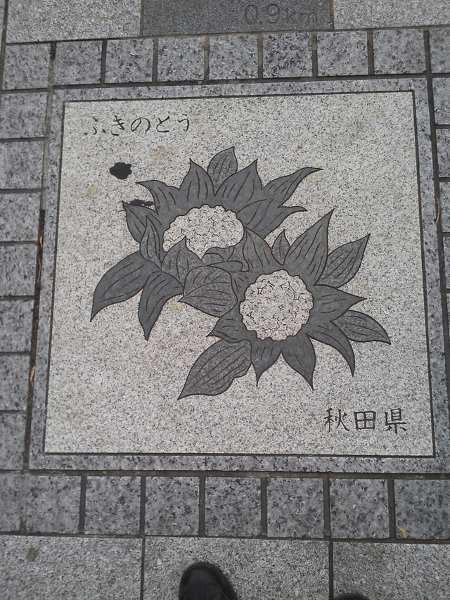 花の環 秋田県